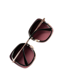 Окуляри ISSA Plus модель O1-143_черный_розовый Фото