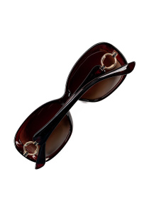 Очки ISSA Plus модель O1-148_темно_коричневый Фото