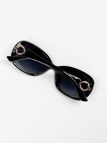 Очки ISSA Plus модель O1-148_черный Фото