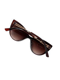 Окуляри ISSA Plus модель O1-149_темно_коричневый Фото