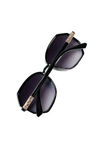 Очки ISSA Plus модель O1-159_черный Фото