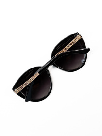 Очки ISSA Plus модель O1-169_серый Фото