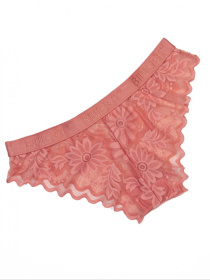 Трусы ISSA Plus модель BL2-833_коричневый Фото