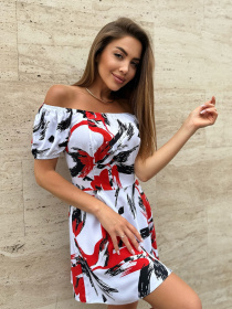 Сукня міні ISSA Plus модель 14742_мультиколор Фото