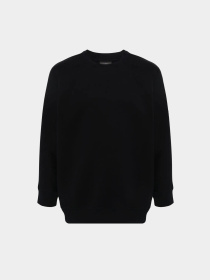 Худи и свитшоты Emporio Armani модель 3D1M64-1JHSZ-0999 Фото