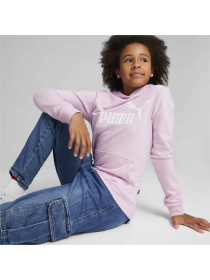 Худи PUMA Ess Logo Hoodie модель 587030 Фото