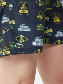 Шорты для плавания Lacoste модель MH031515L Фото