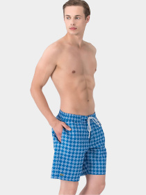 Шорты для плавания Lacoste модель MH2745VHS Фото