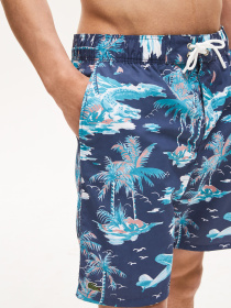 Шорты для плавания Lacoste модель MH4770QRN Фото