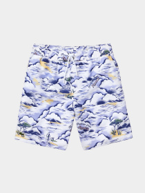 Шорты для плавания Lacoste модель MH6263RWS Фото