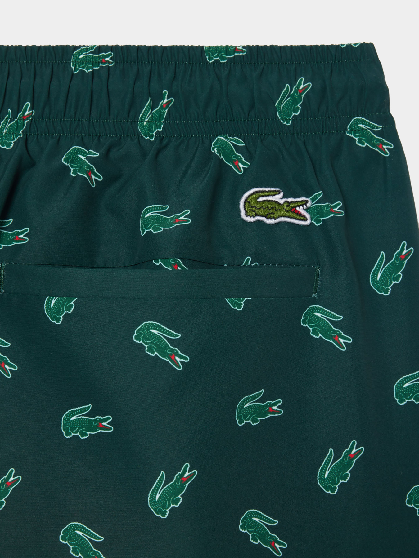 Шорты для плавания Lacoste модель MH7188DCJ Фото