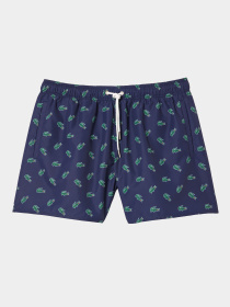 Шорты для плавания Lacoste модель MH7188QRN Фото