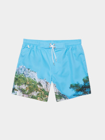 Шорты для плавания Lacoste модель MH9396UD7 Фото