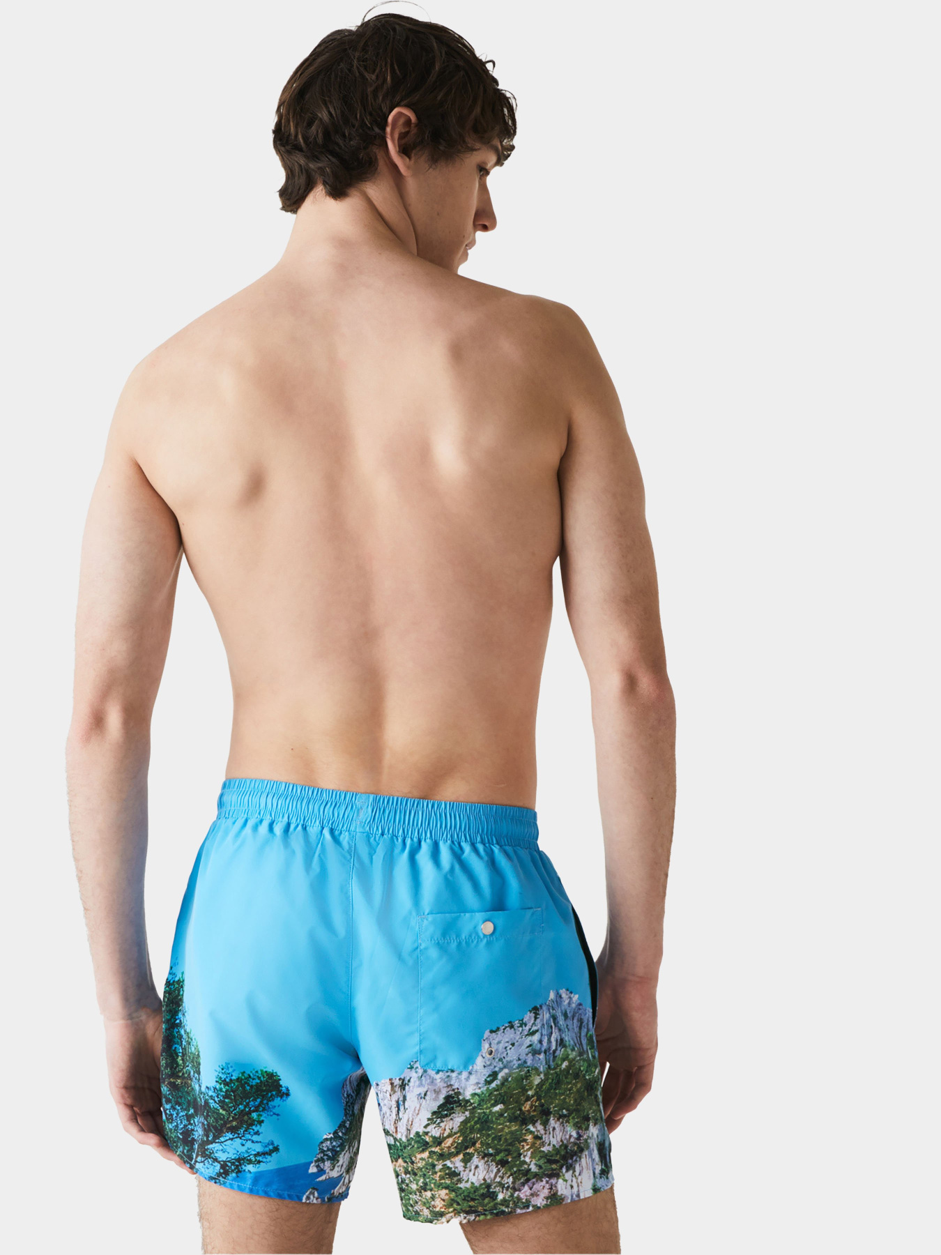 Шорты для плавания Lacoste модель MH9396UD7 Фото