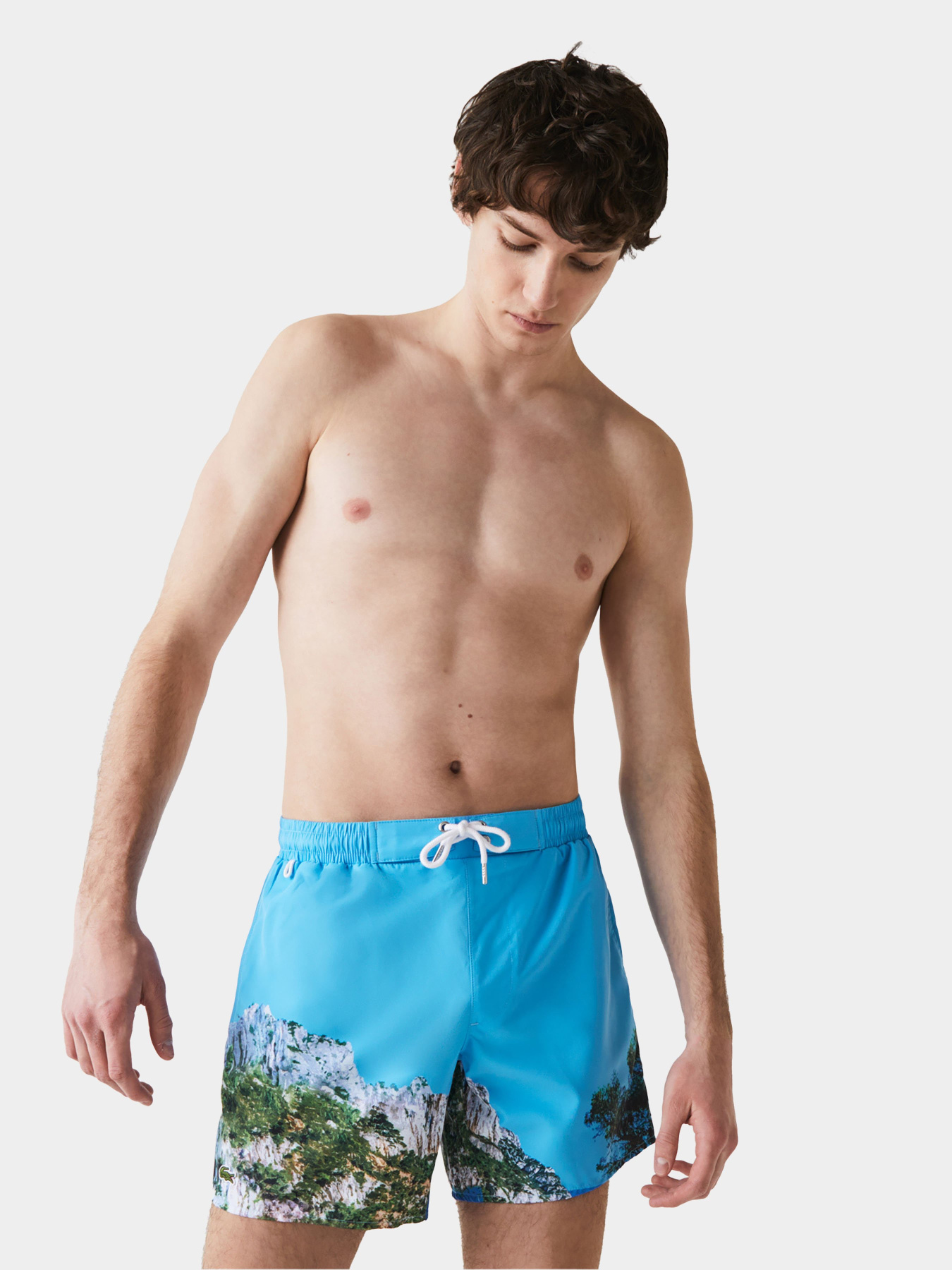 Шорты для плавания Lacoste модель MH9396UD7 Фото