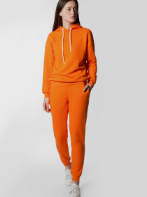 Худи Arber модель ANW17.01.43 Фото