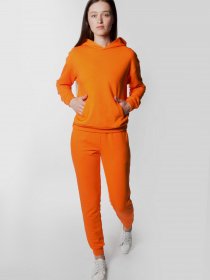 Худи Arber модель ANW17.03.43 Фото