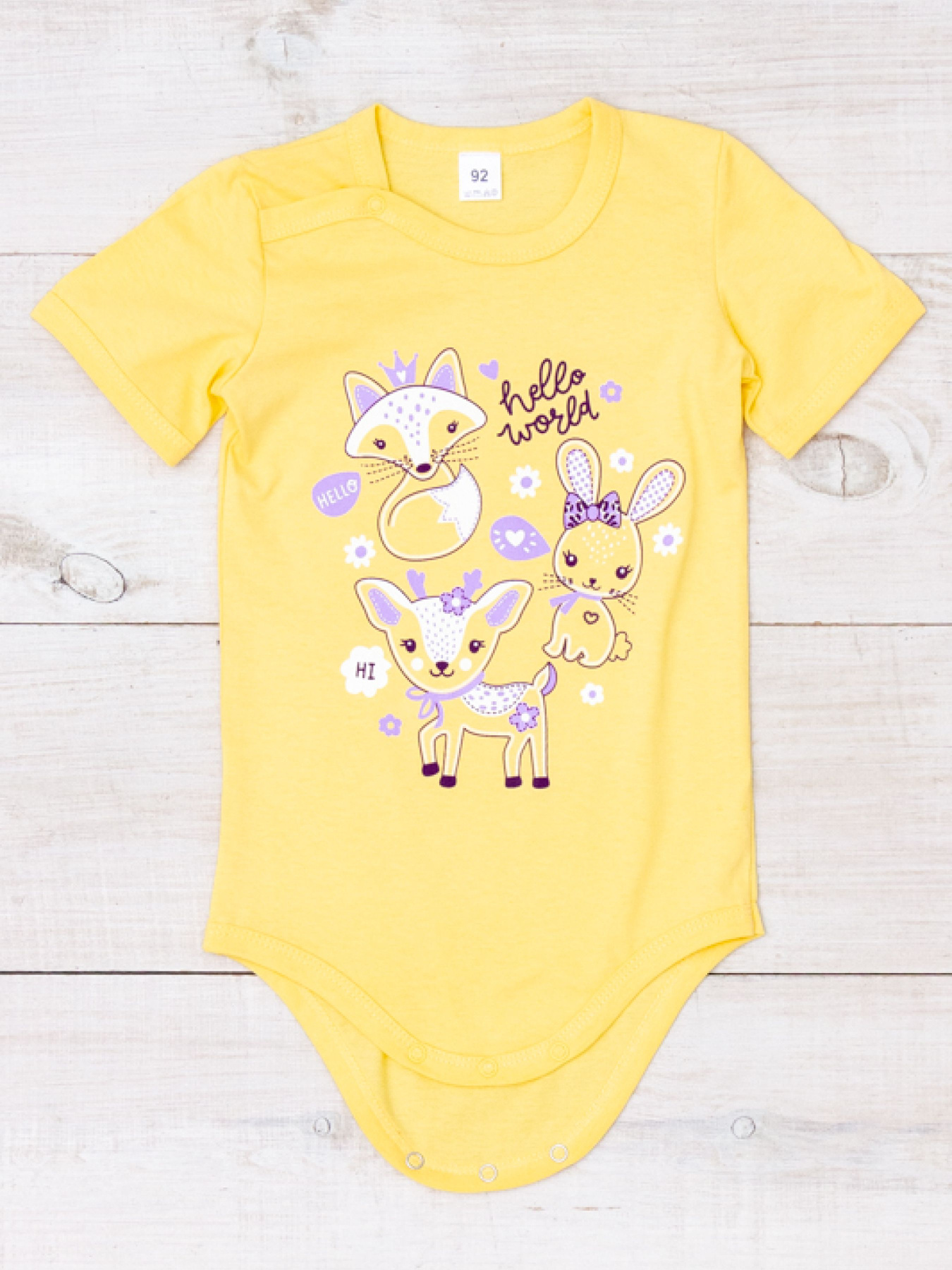 Боди для младенцев Носи своє модель 5011-001-33-5-svtlo-psochnij-zvrqta Фото