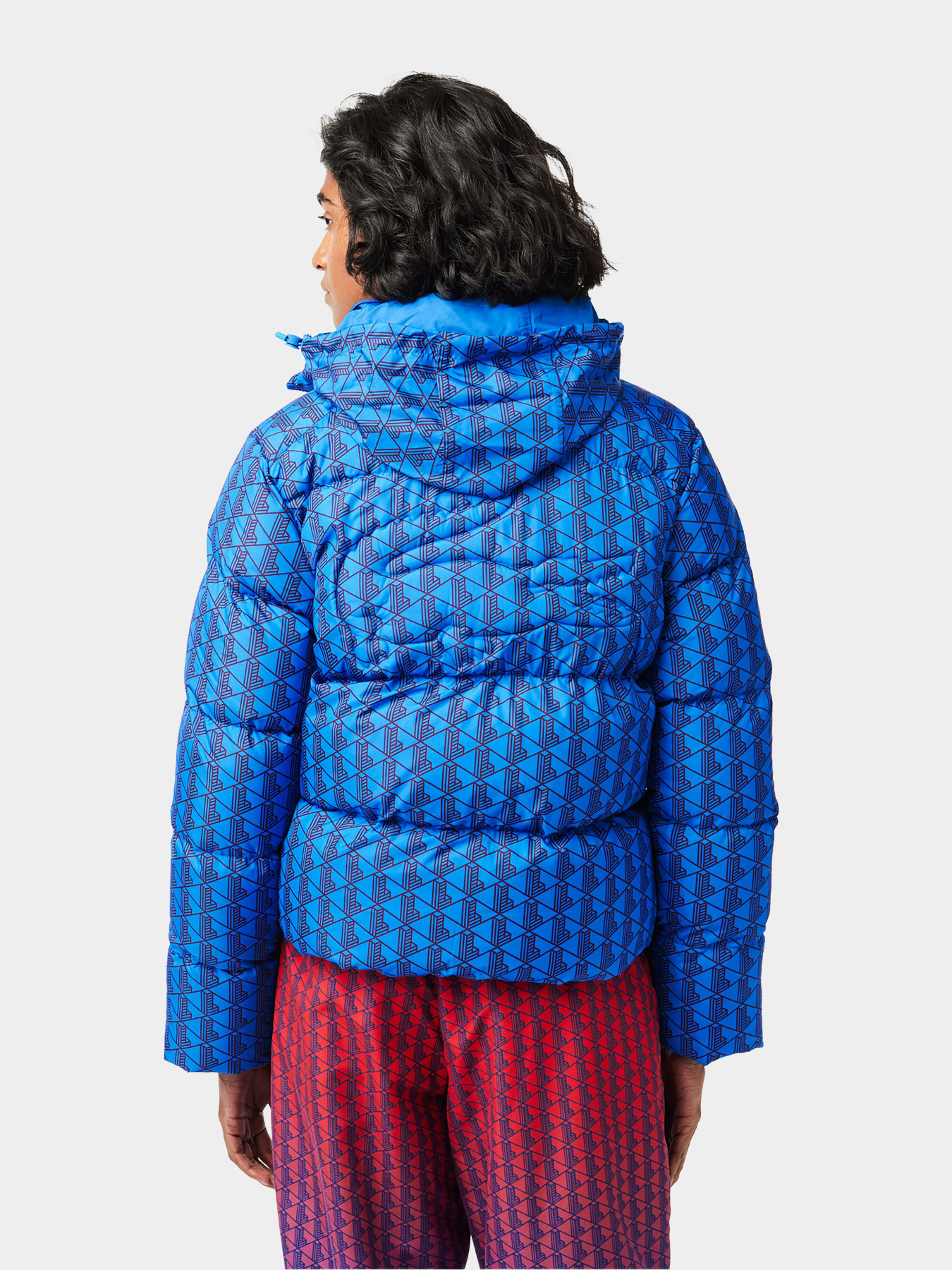 Зимняя куртка Lacoste модель BF3485NJI Фото