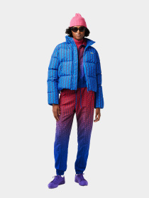 Зимняя куртка Lacoste модель BF3485NJI Фото