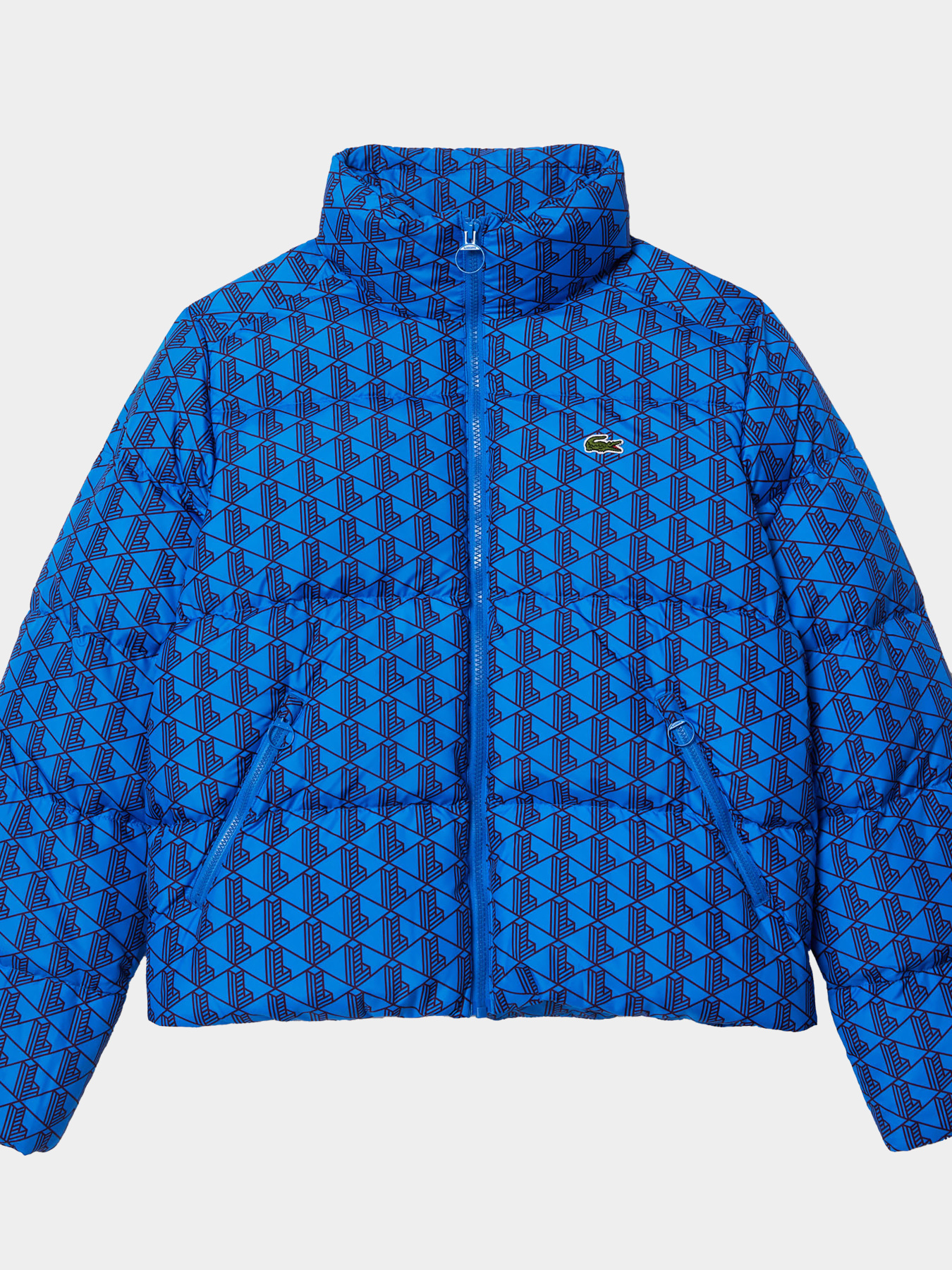 Зимняя куртка Lacoste модель BF3485NJI Зимняя куртка Lacoste модель BF3485NJI Фото