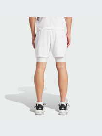 Шорты спортивные Adidas модель IS8097 Фото