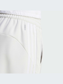 Брюки Adidas Clima модель HZ5647-KZ Фото
