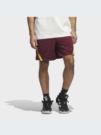 Шорты Adidas модель IM4207-KZ Фото