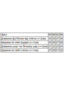 Комплект для немовлят Носи своє модель 5021-001-33-4-zajka-blakitnij-melanzh Комплект для немовлят Носи своє модель 5021-001-33-4-zajka-blakitnij-melanzh Фото