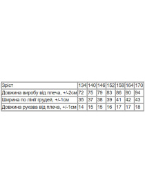 Платье-футболка Носи своє модель 6211-091-burshtin Фото