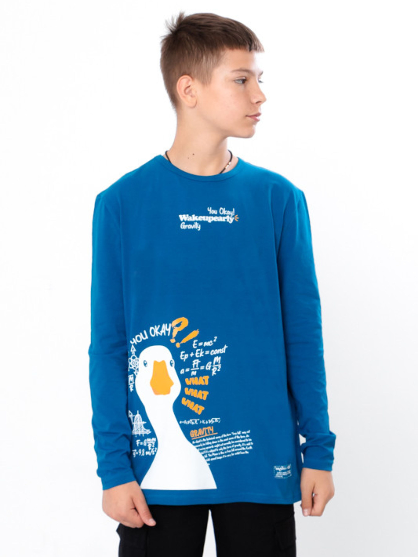 Лонгслив Носи своє модель 6363-036-33-temna-bryuza-goose Фото