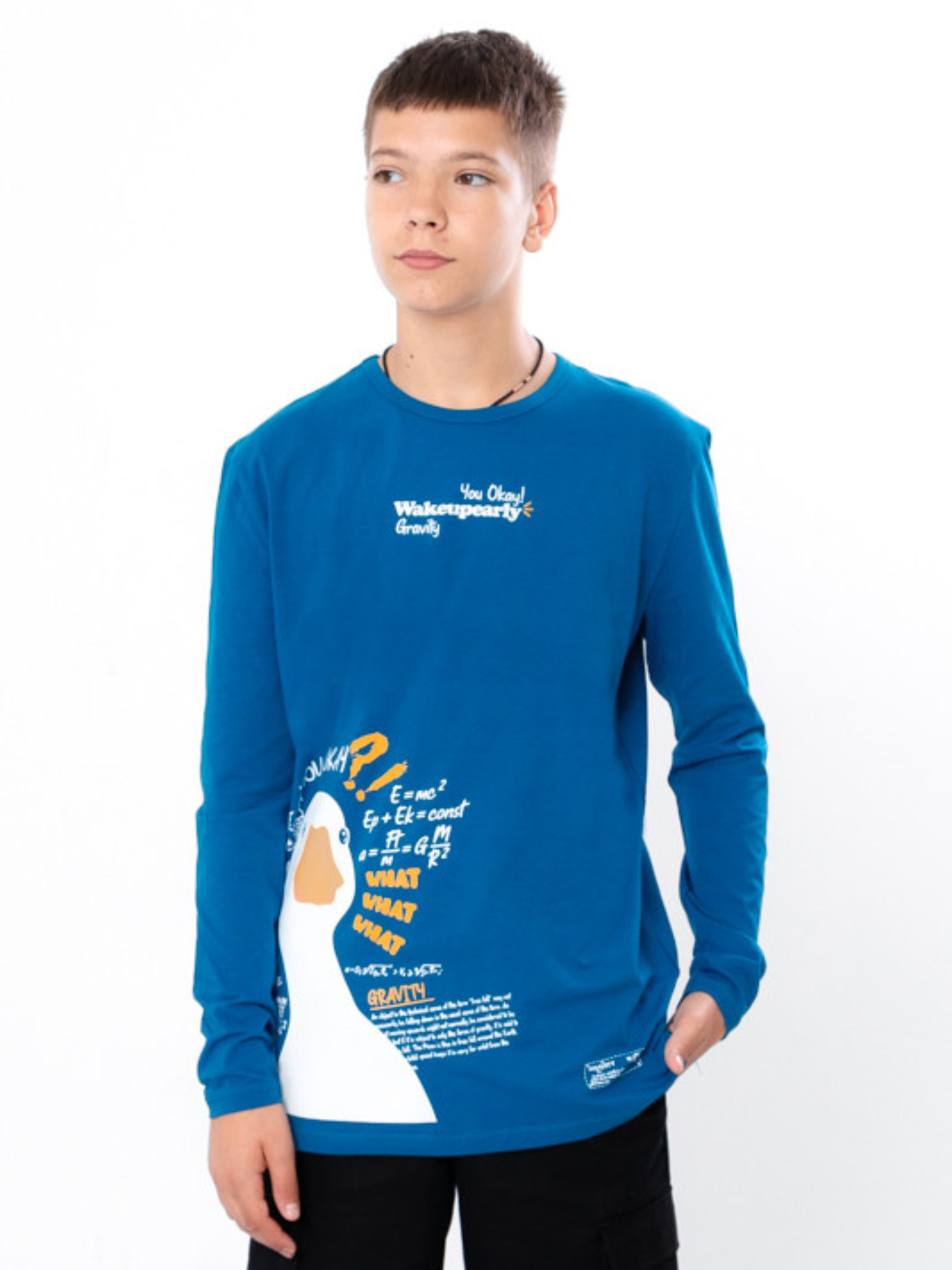 Лонгслів Носи своє модель 6363-036-33-temna-bryuza-goose Фото