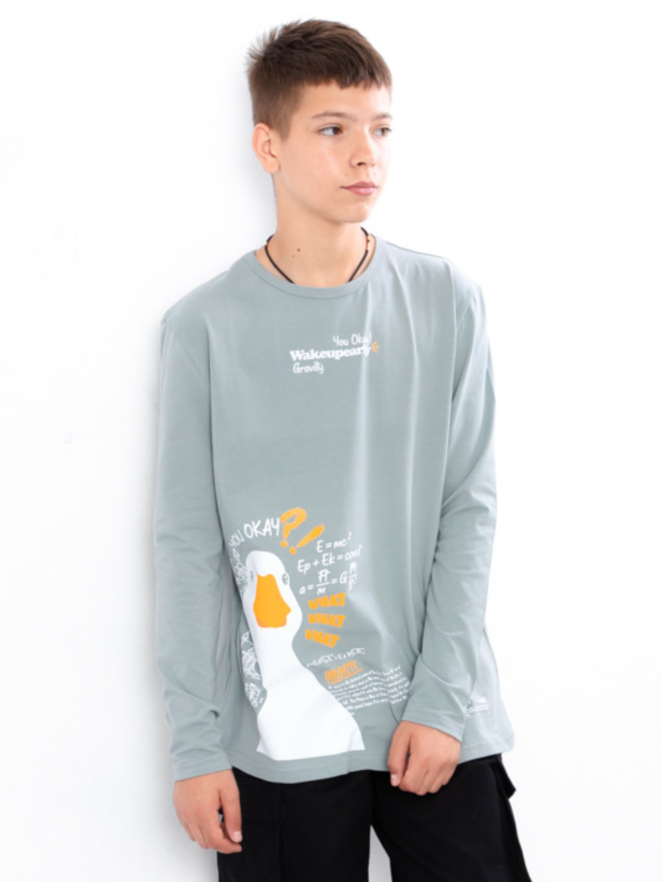 Лонгслів Носи своє модель 6363-036-33-srij-nefrit-goose Лонгслів Носи своє модель 6363-036-33-srij-nefrit-goose Фото