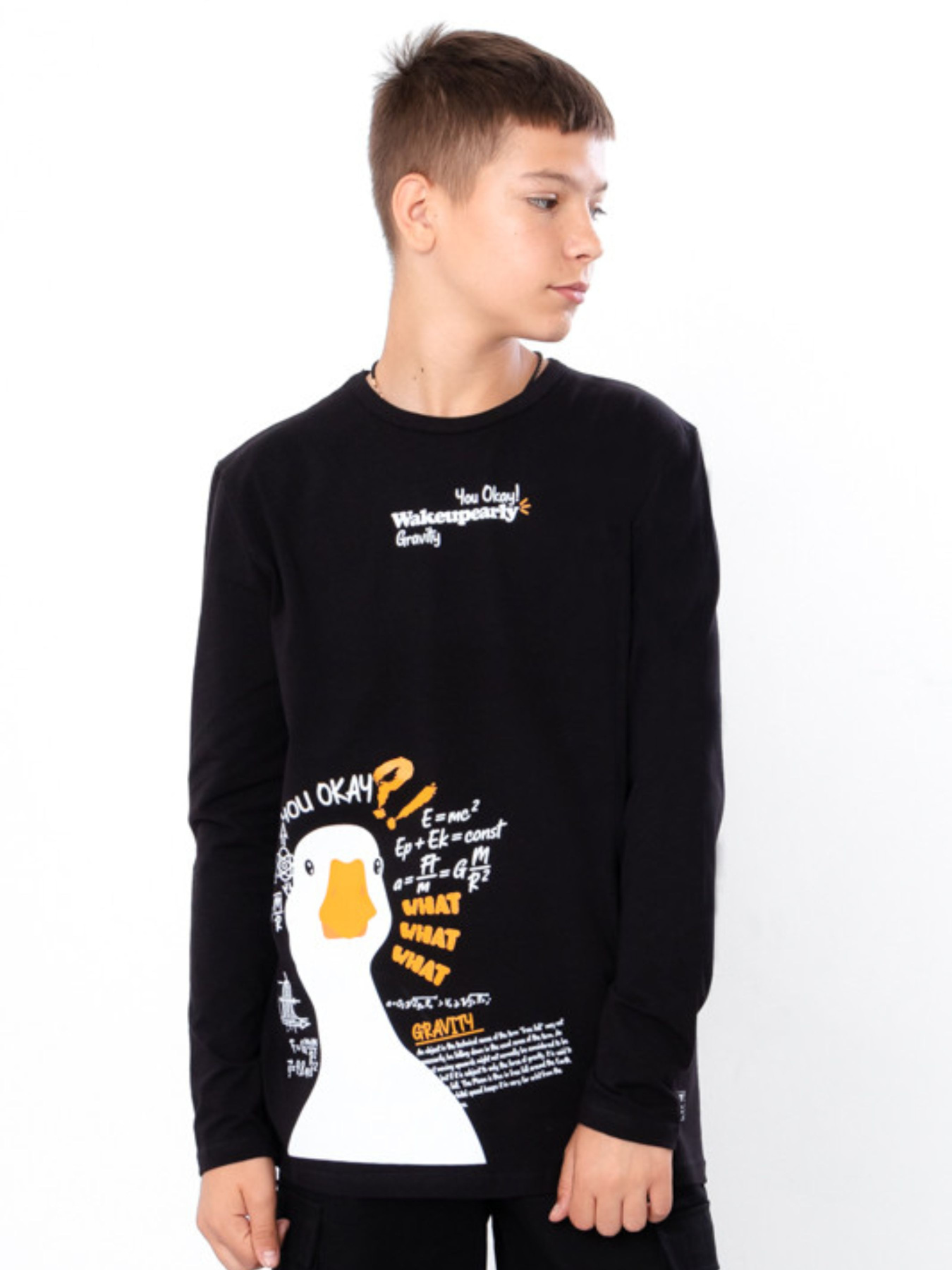 Лонгслів Носи своє модель 6363-036-33-chornij-goose Лонгслів Носи своє модель 6363-036-33-chornij-goose Фото