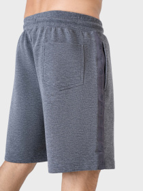 Повседневные шорты AVECS модель 30517-16 Повседневные шорты AVECS модель 30517-16 Фото