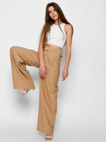 Повседневные штаны CARICA модель KP66526 Фото