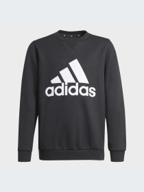 Худи и свитшоты Adidas модель GN4029-KZ Фото