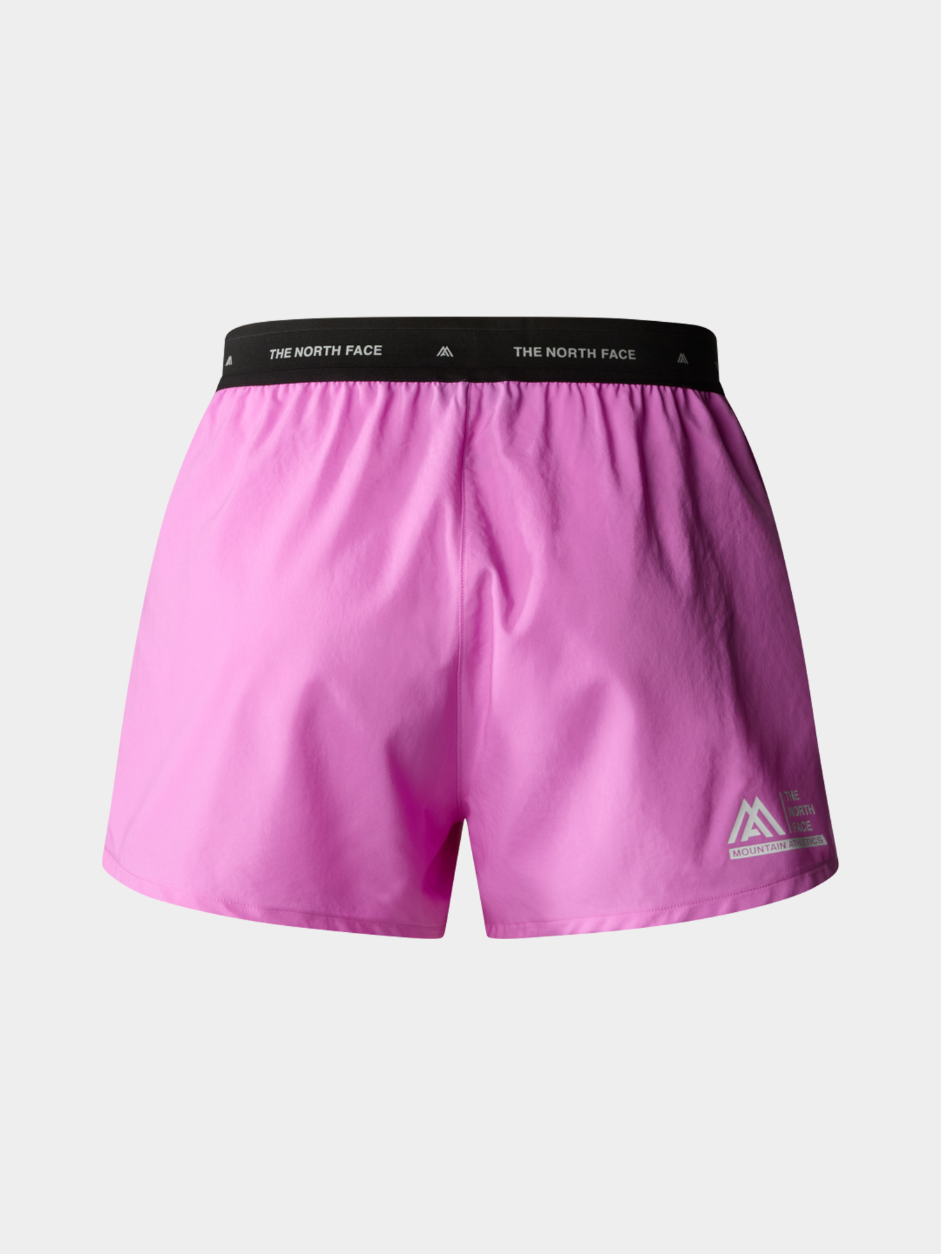 Шорты The North Face модель NF0A87G6QIX1 Фото