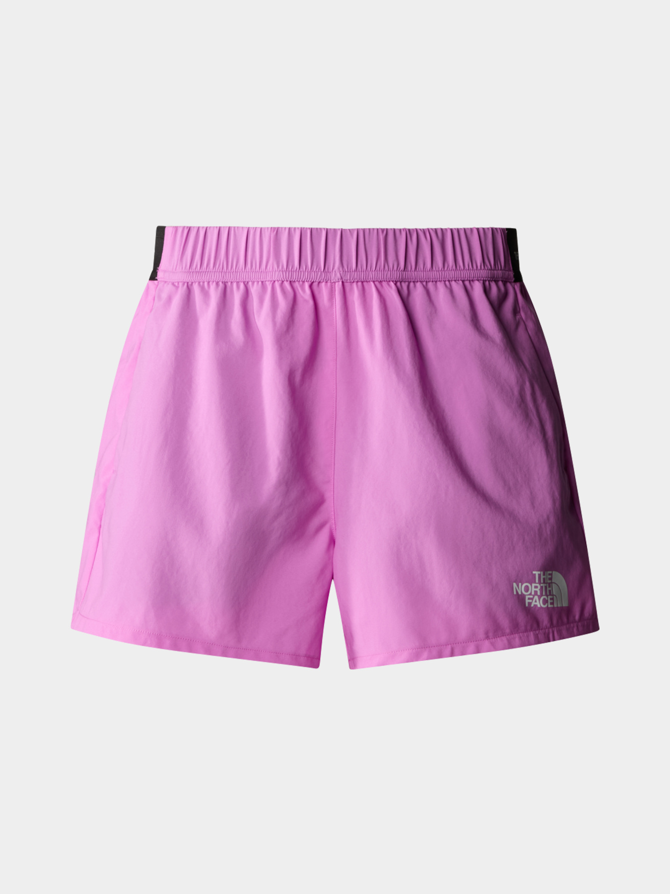 Шорты The North Face модель NF0A87G6QIX1 Фото