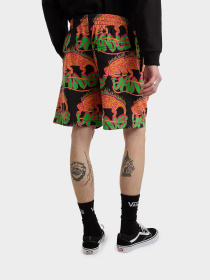 Шорты Vans модель VN000G72BLK1 Фото
