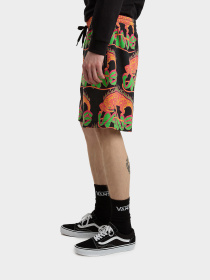 Шорты Vans модель VN000G72BLK1 Фото