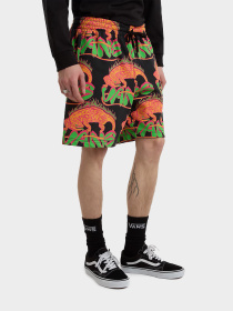 Шорты Vans модель VN000G72BLK1 Фото
