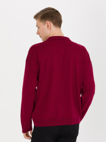 Поло US Polo модель G081SZ0TK.000.1504063.VR014 Поло US Polo модель G081SZ0TK.000.1504063.VR014 Фото