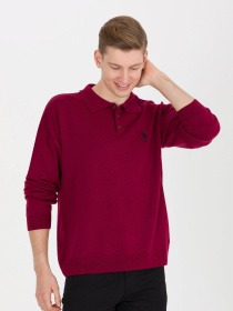 Поло US Polo модель G081SZ0TK.000.1504063.VR014 Поло US Polo модель G081SZ0TK.000.1504063.VR014 Фото