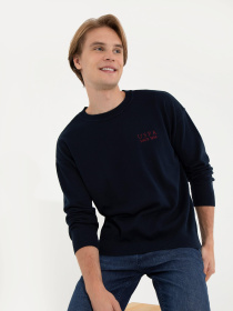 Свитшот US Polo модель G081SZ0TK.000.1507257.VR033 Фото