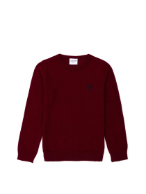 Джемпер US Polo модель G083SZ0TK.000.1726137.VR014 Фото