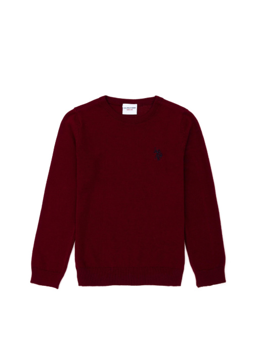 Джемпер US Polo модель G083SZ0TK.000.1726137.VR014 Фото