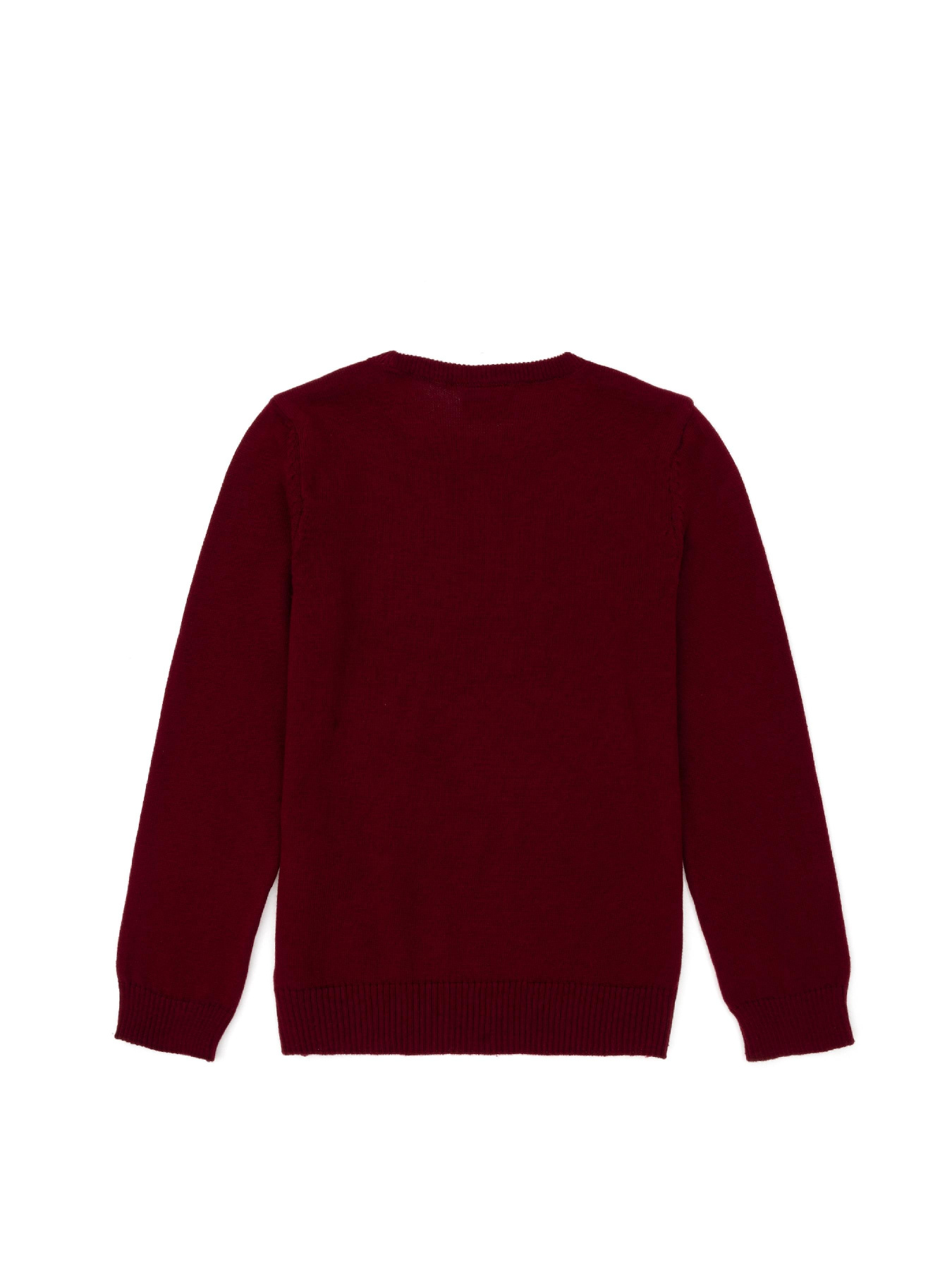 Джемпер US Polo модель G083SZ0TK.000.1726137.VR014 Фото