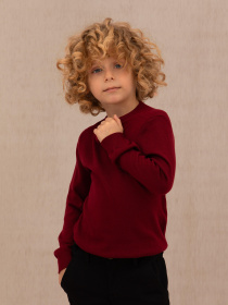 Джемпер US Polo модель G083SZ0TK.000.1726137.VR014 Фото