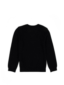 Джемпер US Polo модель G083SZ0TK.000.1726142.VR046 Фото